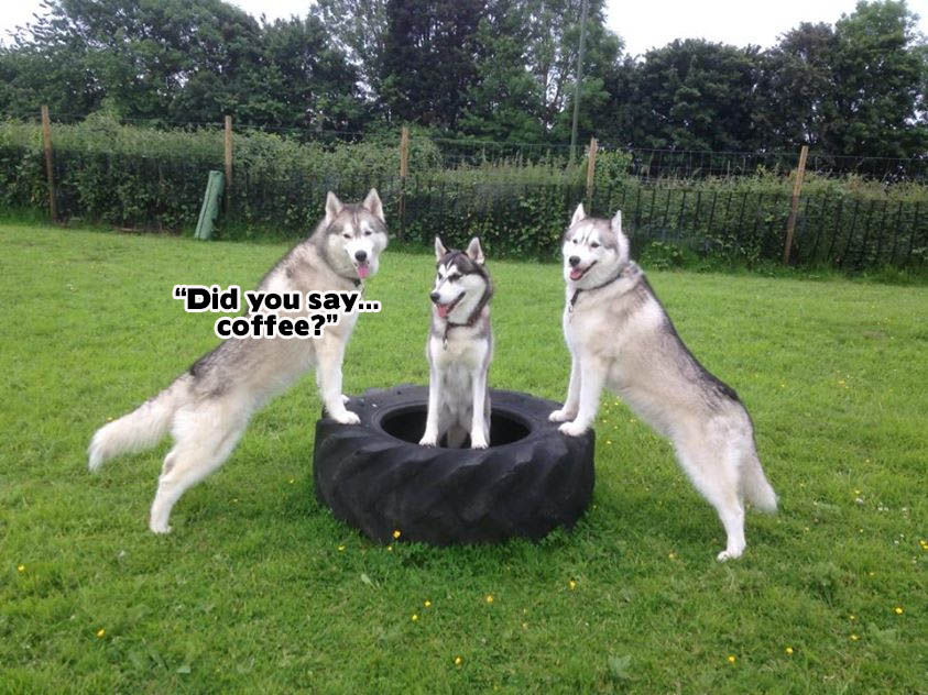 Morning MooseNCoffee!