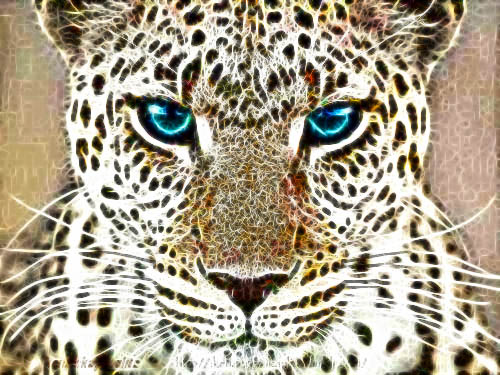 MMO http://askbling.com/rfmmo