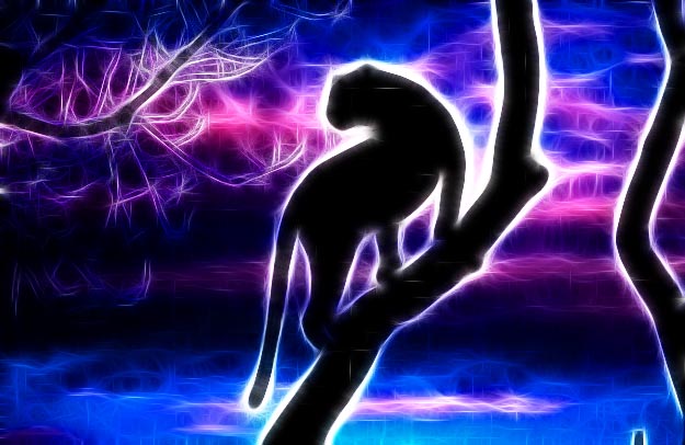 Arbitrage! http://askbling.com/arbs