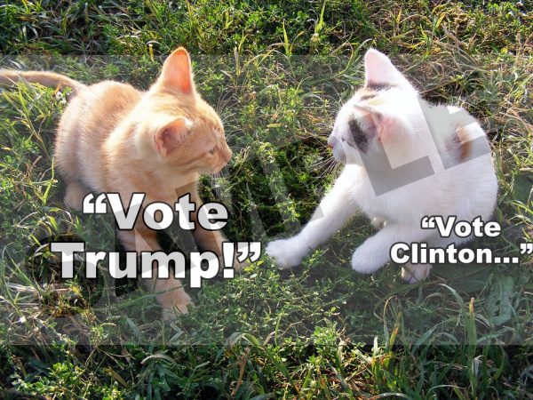 Vote