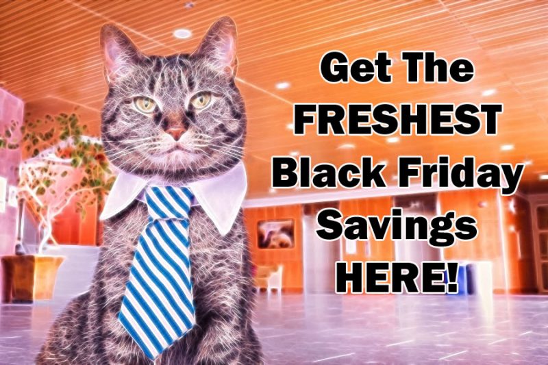 Black Friday!