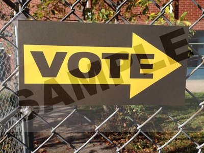 vote