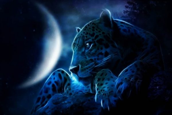 leopard1 http://askbling.com/millioncom