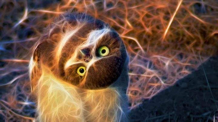 Use coupon fbcoffee http://askbling.com/liveleapend