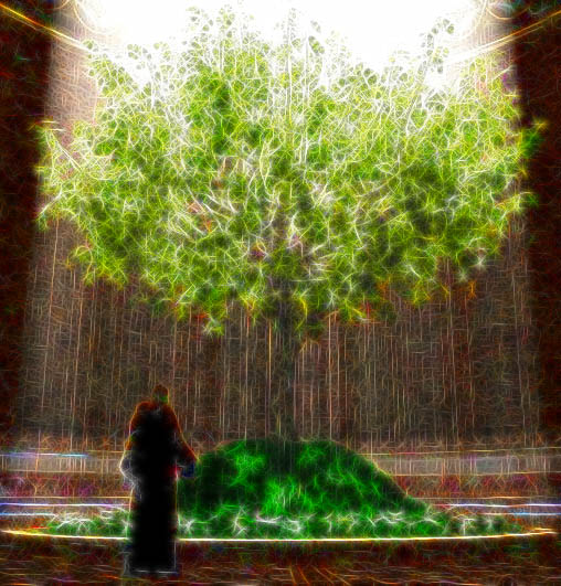 Transform PLR Articles FAST! http://askbling.com/vidicle