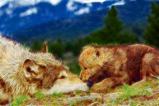 wolf1 http://askbling.com/ppmaster