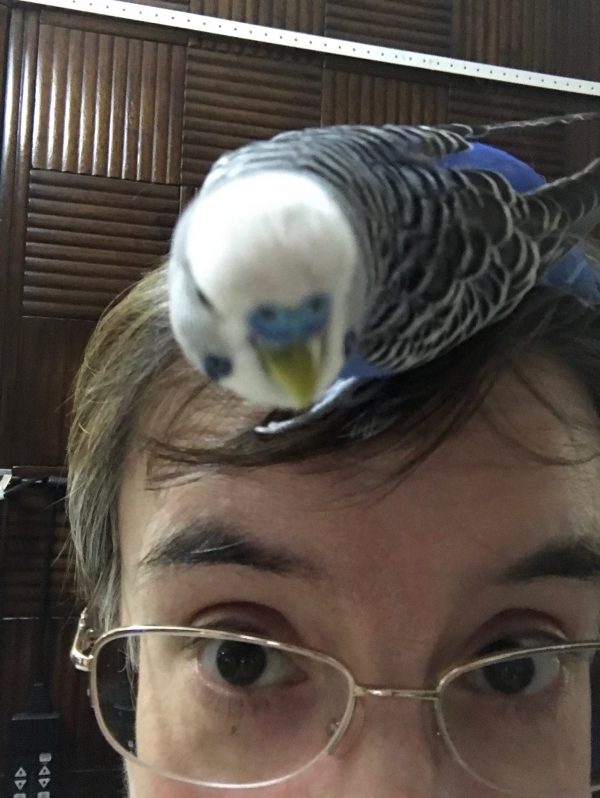 Beak of Doom!