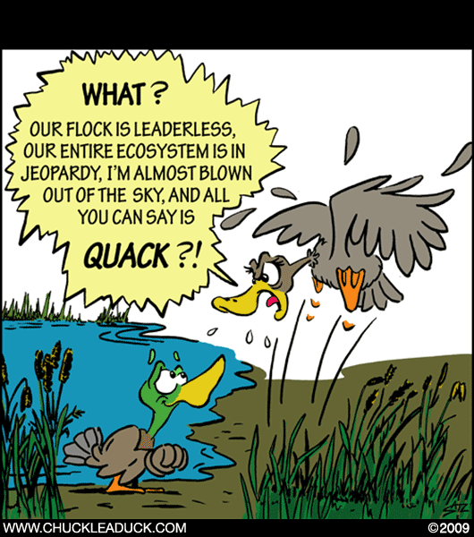 Chuckle a Duck!