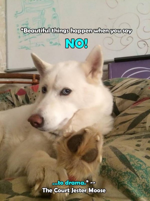 No!