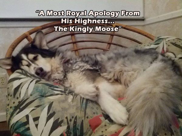 Apologies