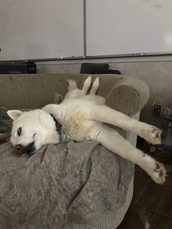 Whee!
