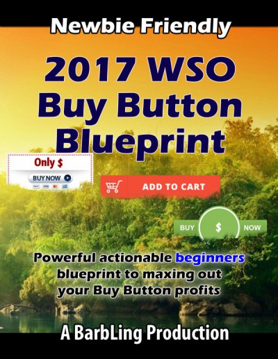 2017 Buy Buton Blueprint