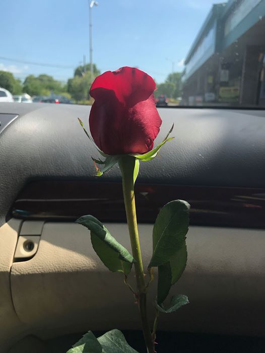 Rose trip!